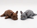 perros.webp