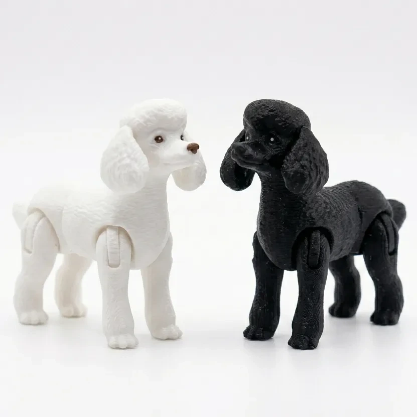 [C] Poodle (Blanco).webp