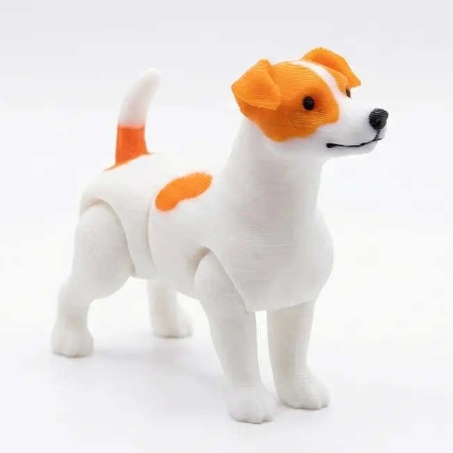 [C] Jack Russel/Terrier