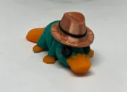 [A] Ornitorrinco