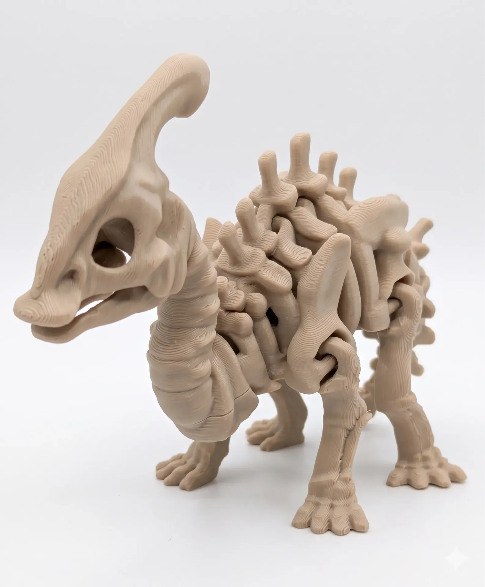 [B] Parasaurolophus - fos