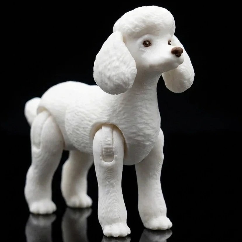 [C] Poodle (Blanco)