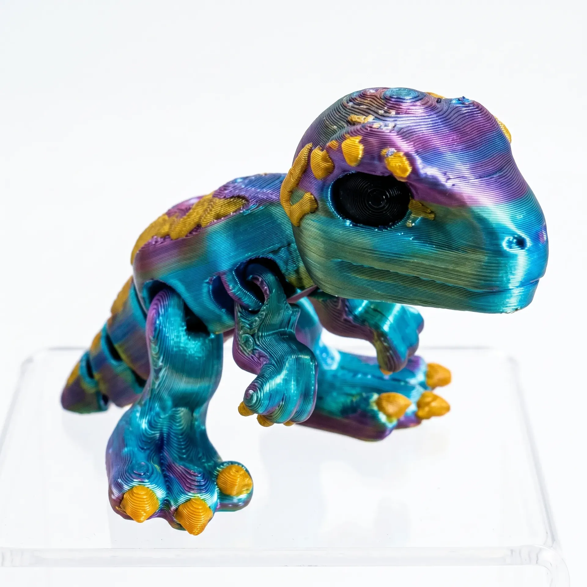 [B] Raptor - mini