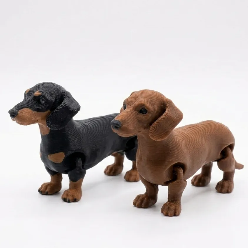 [B] Salchicha (negro)