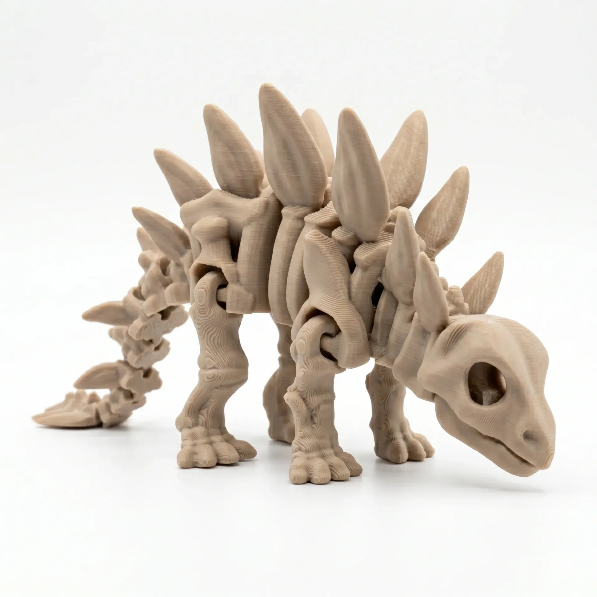 Stegosaurio - fos