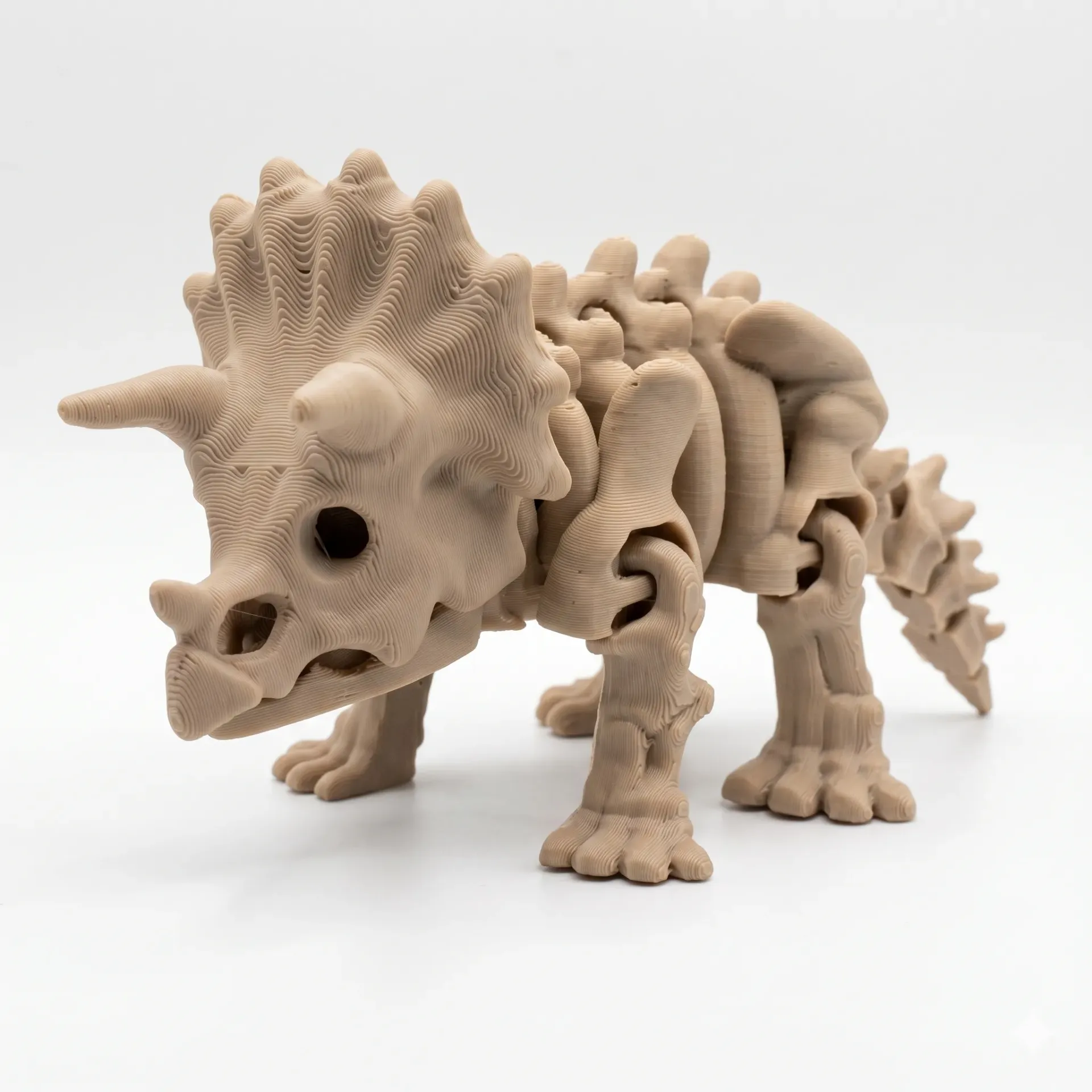 [B] Triceratops - fos