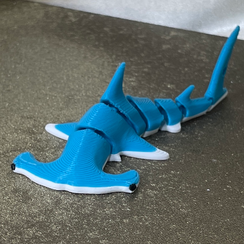 Tiburón martillo