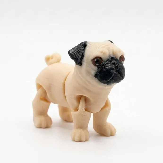 [B] Pug