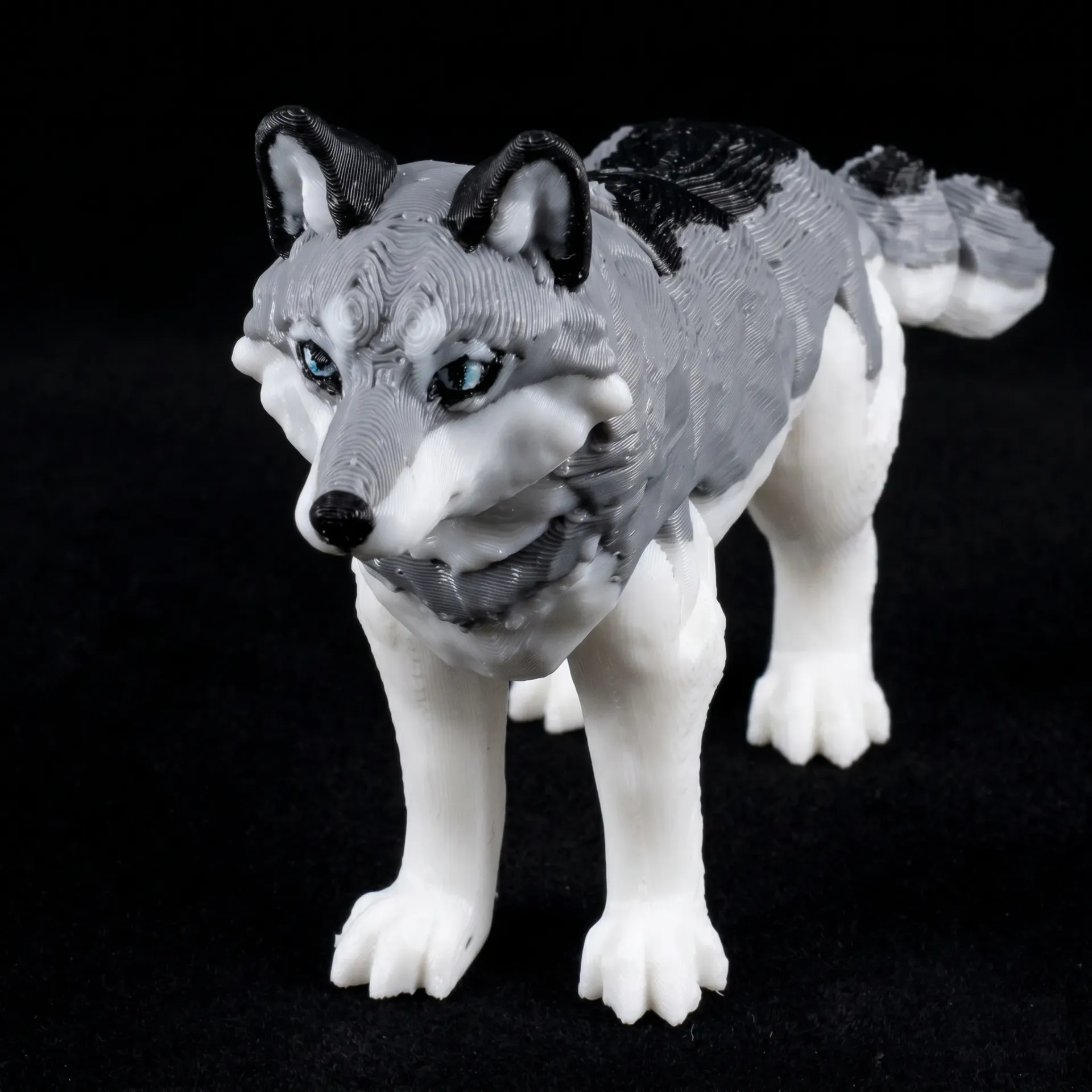 Husky