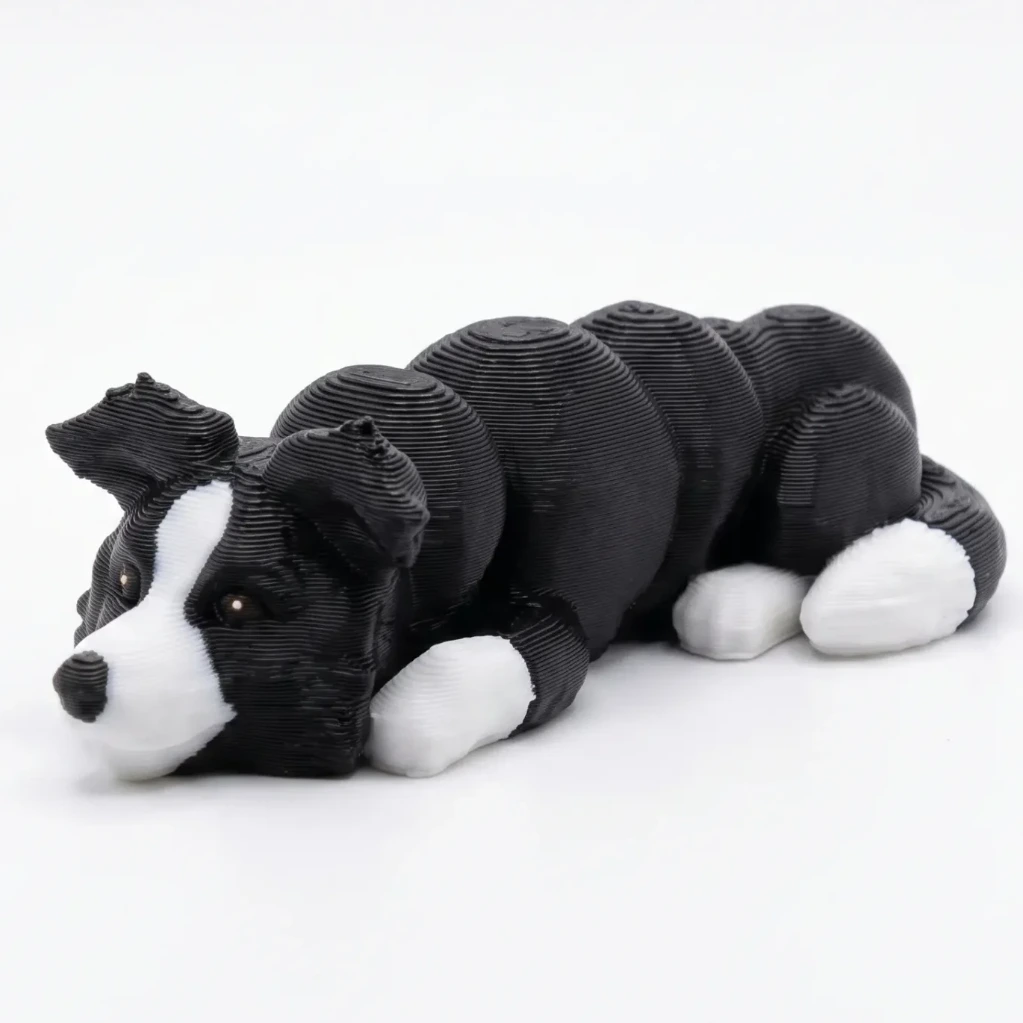 Border Collie (Mr Pickles)