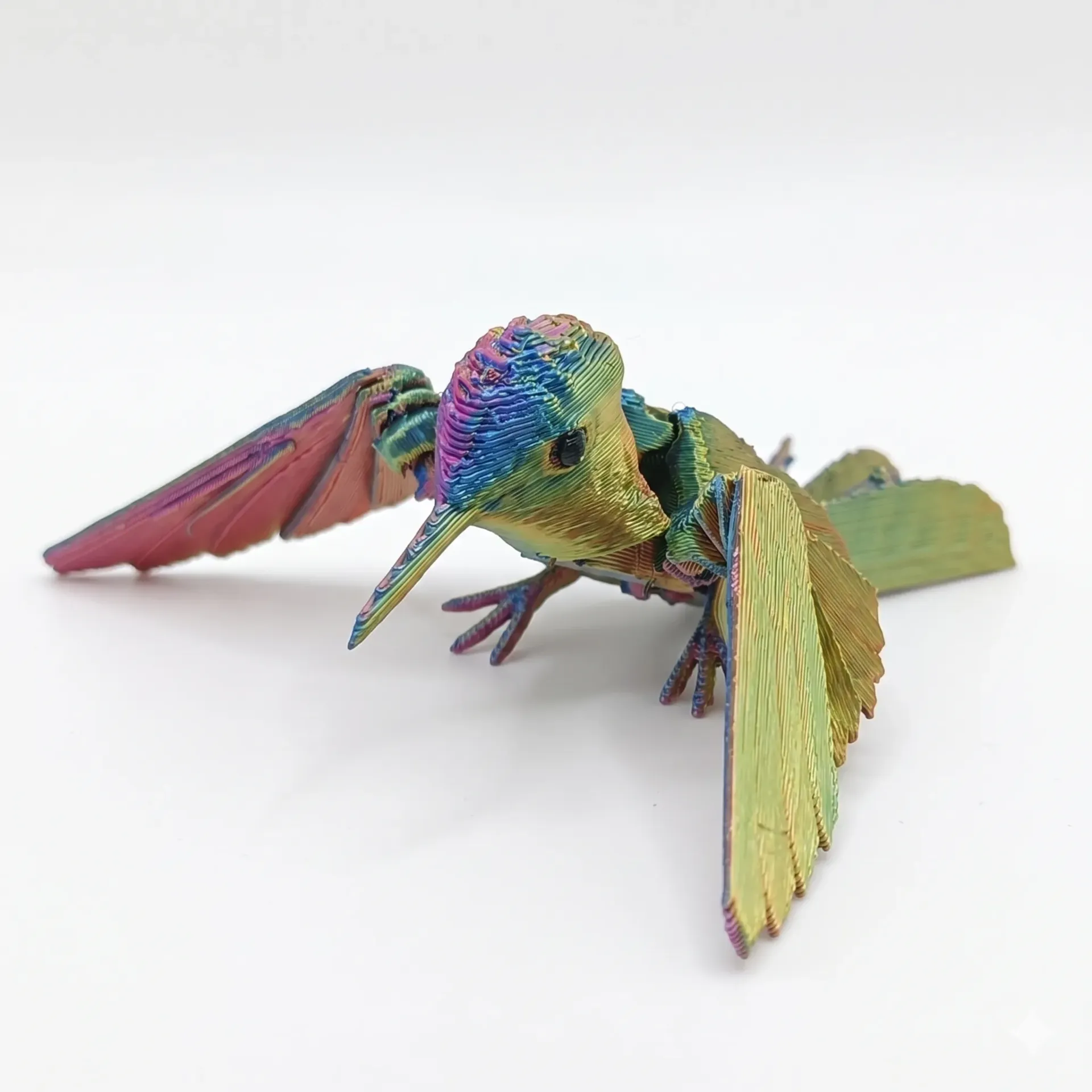 [B] Colibrí