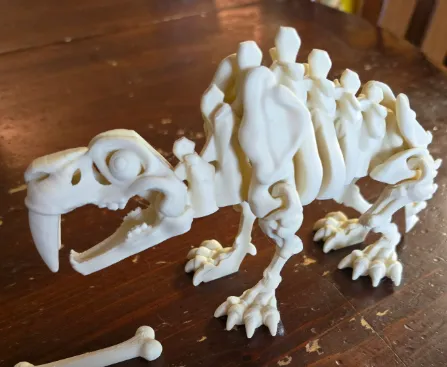 Dientes Sable - gran